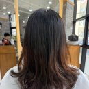 더드림헤어