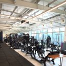 트리니티 피트니스 이미지