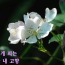 드럼연주B 이미지