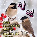 인생역전 이미지