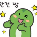 신나쏭