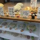 빵삼이 이미지