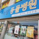 녹양동물병원 이미지