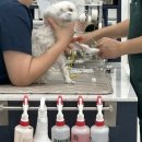 정메디컬 이미지