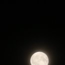 80에라 이미지