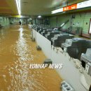 정발산역 이미지