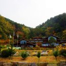 국립대관령치유의숲 이미지