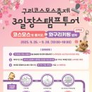 활짝 핀 코스모스 구리 시민한강공원 &#34;코스모스 축제’ 이미지