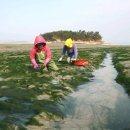 용정3리 이미지