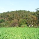 반도 태양광발전소 이미지