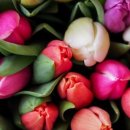 주식회사 퍼니랜드 이미지