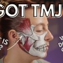 턱관절(TMJ) 해부학 완벽 이해 TMJ와 TMJD는 무엇이 다를까? 이미지
