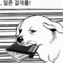 속초설악의풍경펜션 이미지