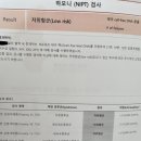 12w 임산부]1차, 2차 기형아 검사 및 니프티검사(청주 엠에스여성의원) 후기 - 현대해상 산모특약 청구하기