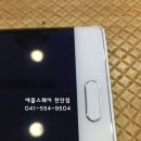 애플쉴드 이미지