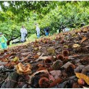 하청 다기능회관 이미지