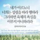 영으로 사는 사람(A man who lives by the spirit) 이미지