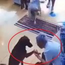 해온약국 이미지