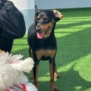 루이야 놀고 자고 GO 이미지