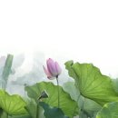 깨달음명상선원