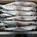 오늘의 생선 이미지