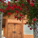 오디마을펜션 이미지