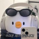 •W6• 본식스냅 언아더데이 계약 후기 📸 (가방순이였던 내가 결국 계약한 이유)