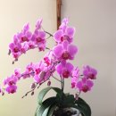 용하농장 이미지