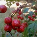 나노아이엔씨 이미지