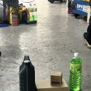 아반떼 엔진오일교환 4만원대로 할인받는 방법/마이클어플추천 내돈내산/송강카랜드