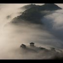 시인과촌장 이미지