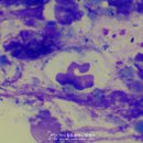 고산동물병원 이미지