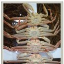 털보순대 이미지