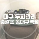 대구 두피관리| 숲칼프 동대구역점 두피관리 후기
