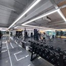 윌 휘트니스 이미지