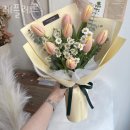 레플레르 이미지
