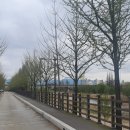 변* 이미지