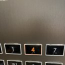 천호 금강안경 | 금강안경 현대백화점 천호점 : 린드버그 안경 구입 가격, 사은품, 결제 팁, 착용 후기