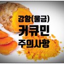 커큐밍(강황. 울금) 효능, 부작용 이미지