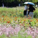 couple stay 이미지