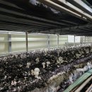 석성농장 이미지