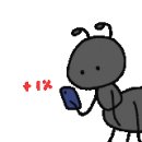가온시스 이미지