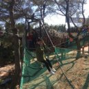 평산관 합기도 이미지