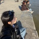 Ray_o | 소비일기(17) : 레이밴(ray-ban) 대디오 선글라스 면세점 구매 후기 - 착샷O