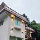 로뎅853-1 이미지