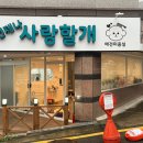 언제나사랑할개