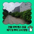 수월암1리마을회관 | 건물 외벽 펜스 덩굴 제거 및 뿌리 고사 방법