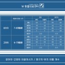 꼬마동물병원 | 강아지 피하 잠복고환 수술 방법은? 부산 w동물병원 유치 발치 후기