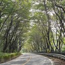 경기둘레길 가평23코스 | 경기둘레길 23코스 가평구간 *청평역~삼회1리 마을회관* (25.09.30)