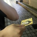 3학년 여름방학
